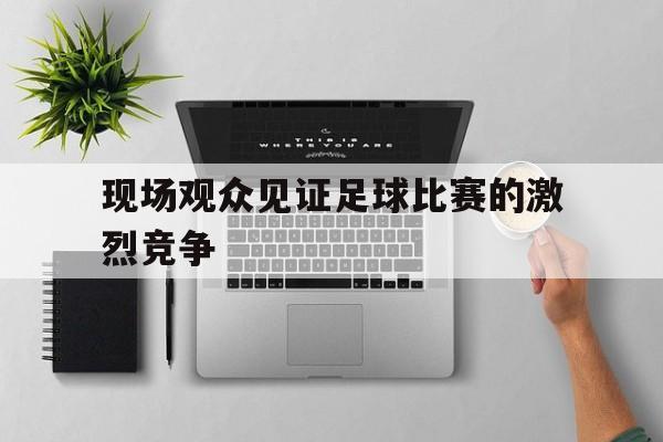 现场观众见证足球比赛的激烈竞争